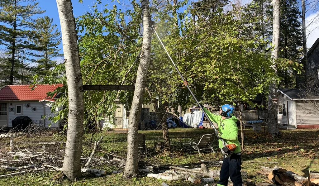 Five Star Tree Services 2