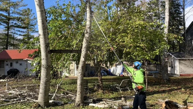 Five Star Tree Services 2